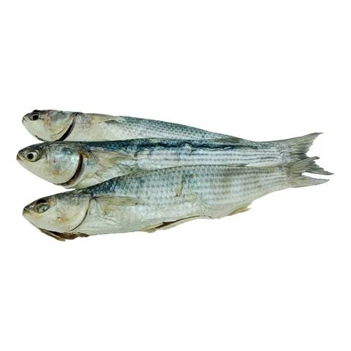 576bfb4c731d1657fac002fb120ce51c Główne zdjęcie produktu