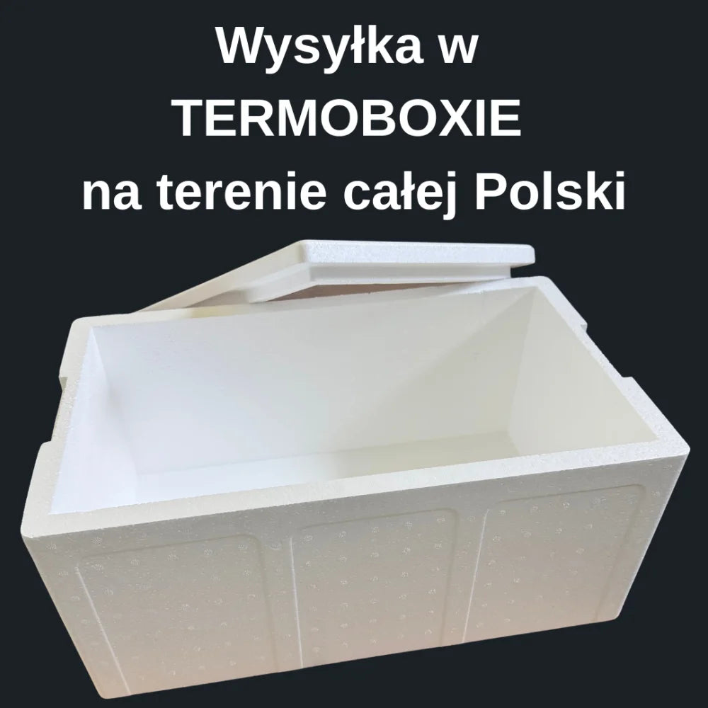 Krewetka Grenlandzka 70-90 gotowana, 5 kg + Darmowa dostawa + Termobox gratis Drugie zdjęcie produktu
