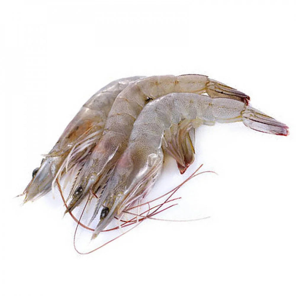 e75c6d9e9ff5e85e43179ad9f88a7d37