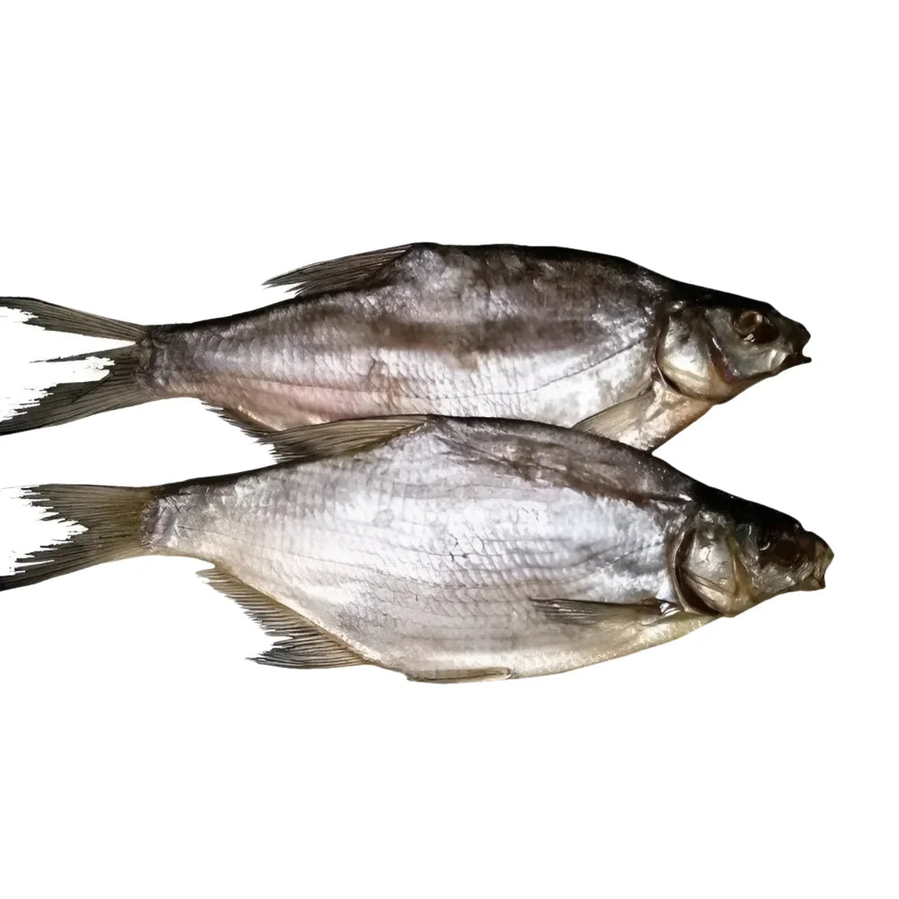 04ecfebd45347f34c940a11f19dfe9a3 Główne zdjęcie produktu