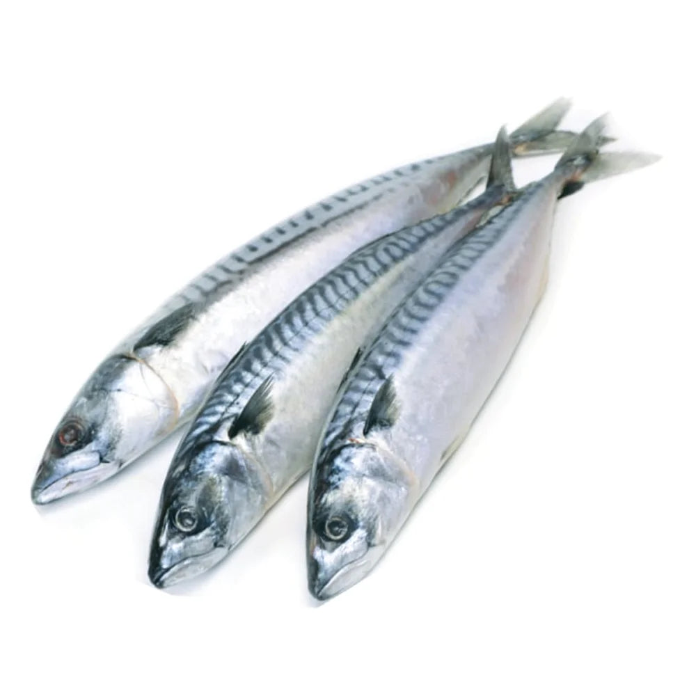 a91e3b38721d5ae4168523918cfe98f3 Główne zdjęcie produktu